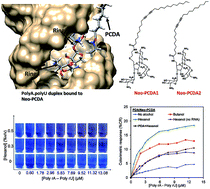 Graphical abstract: Utilization of chromic polydiacetylene assemblies as a platform to probe specific binding between drug and RNA