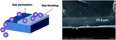 Graphical abstract: Study on the preparation and performance of low gas permeability trifluoropropyl phenyl silicone rubber