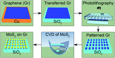 Graphical abstract: Selective and confined growth of transition metal dichalcogenides on transferred graphene