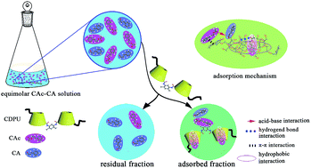 Graphical abstract: Theoretical and experimental studies on the separation of cinnamyl acetate and cinnamaldehyde by adsorption onto a β-cyclodextrin polyurethane polymer