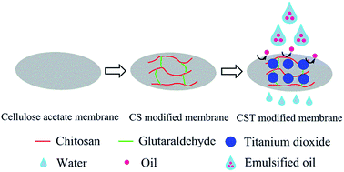 Graphical abstract: A superhydrophilic and underwater superoleophobic chitosan–TiO2 composite membrane for fast oil-in-water emulsion separation