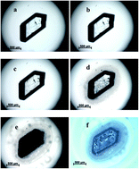 Graphical abstract: Crystal structure transformation and step-by-step thermal decomposition behavior of dihydroxylammonium 5,5′-bistetrazole-1,1′-diolate