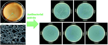 Graphical abstract: Preparation of polyurethane/polyvinyl alcohol hydrogel and its performance enhancement via compositing with silver particles
