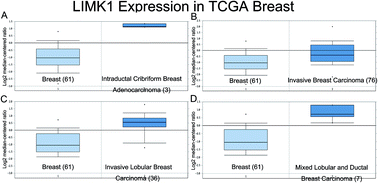 Graphical abstract: MiR-138-5p targeting LIMK1 suppresses breast cancer cell proliferation and motility