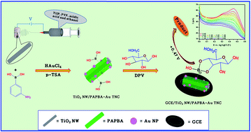Graphical abstract: Highly selective non-enzymatic electrochemical sensor based on a titanium dioxide nanowire–poly(3-aminophenyl boronic acid)–gold nanoparticle ternary nanocomposite