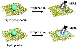 Graphical abstract: Condensation effect-induced improved sensitivity for SERS trace detection on a superhydrophobic plasmonic nanofibrous mat