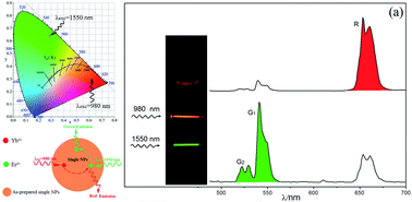 Graphical abstract: Simple method for simultaneously achieving red and green up-conversion luminescence