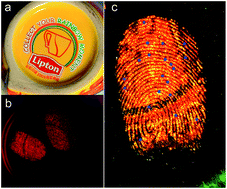 Graphical abstract: Non-toxic luminescent Au Nanoclusters@Montmorillonite nanocomposites powders for latent fingerprint development