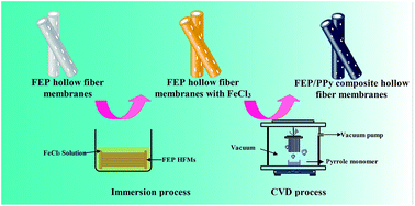 Graphical abstract: Study on poly(tetrafluoroethylene-co-hexafluoropropylene) hollow fiber membranes with surface modification by a chemical vapor deposition method