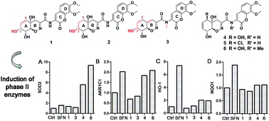Graphical abstract: Trichodermamides D–F, heterocyclic dipeptides with a highly functionalized 1,2-oxazadecaline core isolated from the endophytic fungus Penicillium janthinellum HDN13-309