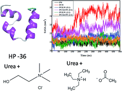 Graphical abstract: Ammonium based stabilizers effectively counteract urea-induced denaturation in a small protein: insights from molecular dynamics simulations
