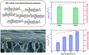 Graphical abstract: A novel surface cross-linked GO-based membrane with superior separation performance