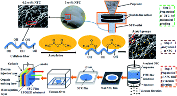 Graphical abstract: Acetylation improves thermal stability and transmittance in FOLED substrates based on nanocellulose films