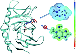Graphical abstract: Structural basis for substrate discrimination by E. coli repair enzyme, AlkB