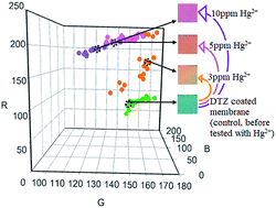 Graphical abstract: Detection of mercury ions in water using a membrane-based colorimetric sensor