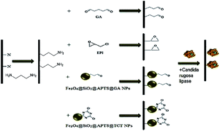 Graphical abstract: Novel approaches to immobilize Candida rugosa lipase on nanocomposite membranes prepared by covalent attachment of magnetic nanoparticles on poly acrylonitrile membrane