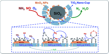 Graphical abstract: Insight into the synergism between MnO2 and acid sites over Mn–SiO2@TiO2 nano-cups for low-temperature selective catalytic reduction of NO with NH3