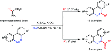 Graphical abstract: Use of unprotected amino acids in metal-free tandem radical cyclization reactions: divergent synthesis of 6-alkyl/acyl phenanthridines