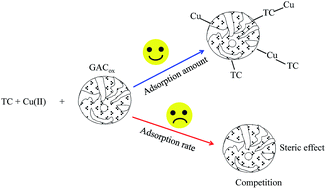 Graphical abstract: Simultaneous removal of tetracycline and Cu(ii) by adsorption and coadsorption using oxidized activated carbon