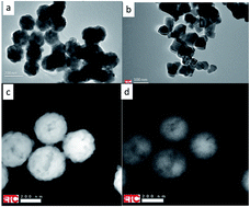 Graphical abstract: Cathodoluminescence of Y2O3:Ln3+ (Ln = Tb, Er and Tm) and Y2O3:Bi3+ nanocrystalline particles at 200 keV