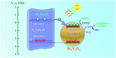 Graphical abstract: The synthesis of a Bi2MoO6/Bi4V2O11 heterojunction photocatalyst with enhanced visible-light-driven photocatalytic activity