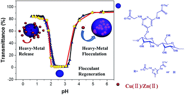 Graphical abstract: Amphoteric starch derivatives as reusable flocculant for heavy-metal removal
