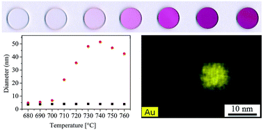 Graphical abstract: Redox effects and formation of gold nanoparticles for the nucleation of low thermal expansion phases from BaO/SrO/ZnO/SiO2 glasses
