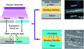 Graphical abstract: Mechanisms for low-temperature direct bonding of Si/Si and quartz/quartz via VUV/O3 activation