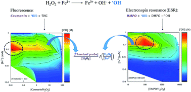 Graphical abstract: Towards reliable quantification of hydroxyl radicals in the Fenton reaction using chemical probes