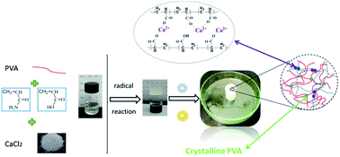 Graphical abstract: Triple network hydrogels (TN gels) prepared by a one-pot, two-step method with high mechanical properties