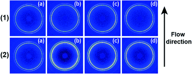 Graphical abstract: Effects of shear on epitaxial crystallization of poly(ε-caprolactone) on reduced graphene oxide