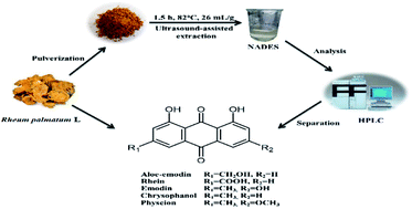 Graphical abstract: Natural deep eutectic solvents as new green solvents to extract anthraquinones from Rheum palmatum L.