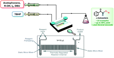 Graphical abstract: Microfluidic synthesis of α-ketoesters via oxidative coupling of acetophenones with alcohols under metal-free conditions
