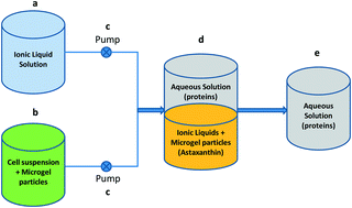 Graphical abstract: One-step mild biorefinery of functional biomolecules from microalgae extracts