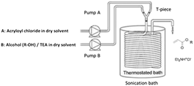 Graphical abstract: Direct synthesis of acrylate monomers in heterogeneous continuous flow processes