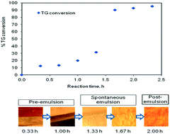 Graphical abstract: Investigation of spontaneous emulsification and its relevance in biodiesel synthesis