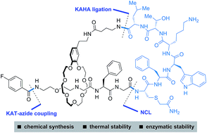 Graphical abstract: Synthesis and stabilities of peptide-based [1]rotaxanes: molecular grafting onto lasso peptide scaffolds