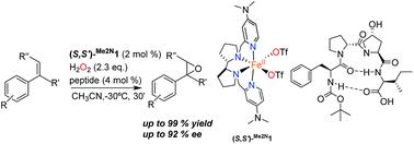 Graphical abstract: A bottom up approach towards artificial oxygenases by combining iron coordination complexes and peptides