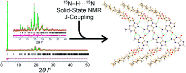 Graphical abstract: Determination of a complex crystal structure in the absence of single crystals: analysis of powder X-ray diffraction data, guided by solid-state NMR and periodic DFT calculations, reveals a new 2′-deoxyguanosine structural motif