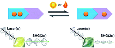 Graphical abstract: Second-order nonlinear optical switching with a record-high contrast for a photochromic and thermochromic bistable crystal