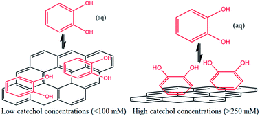 Graphical abstract: Catechol adsorption on graphene nanoplatelets: isotherm, flat to vertical phase transition and desorption kinetics