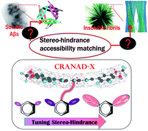 Graphical abstract: Tuning the stereo-hindrance of a curcumin scaffold for the selective imaging of the soluble forms of amyloid beta species