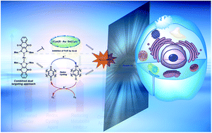 Graphical abstract: Dual targeting of the cancer antioxidant network with 1,4-naphthoquinone fused Gold(i) N-heterocyclic carbene complexes