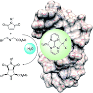 Graphical abstract: Catalysis of a 1,3-dipolar reaction by distorted DNA incorporating a heterobimetallic platinum(ii) and copper(ii) complex