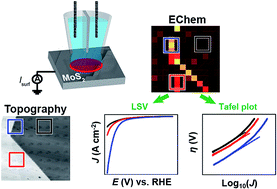Graphical abstract: Electrochemical maps and movies of the hydrogen evolution reaction on natural crystals of molybdenite (MoS2): basal vs. edge plane activity