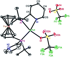 Graphical abstract: Cooperative catalytic methoxycarbonylation of alkenes: uncovering the role of palladium complexes with hemilabile ligands
