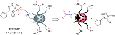 Graphical abstract: Highly selective acylation of polyamines and aminoglycosides by 5-acyl-5-phenyl-1,5-dihydro-4H-pyrazol-4-ones