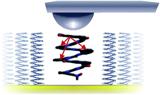 Graphical abstract: Multi-dimensional charge transport in supramolecular helical foldamer assemblies