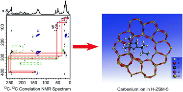 Graphical abstract: Direct structural identification of carbenium ions and investigation of host–guest interaction in the methanol to olefins reaction obtained by multinuclear NMR correlations