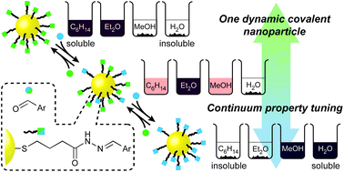 Graphical abstract: Continuum tuning of nanoparticle interfacial properties by dynamic covalent exchange